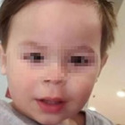Bambino di due anni sbranato vivo da un Rottweiler davanti alla madre: «Ci stava giocando, poi è stato aggredito»