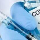 Vaccino anti Covid, non solo medici e Rsa nella fase 1: «Anche ad anziani e docenti delle scuole»