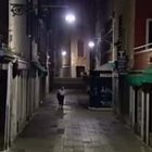 Aggressioni nelle calli di Venezia: il fantasma ha le ore contate Ecco l'identikit