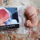 Famiglie, gadget a forma di feto, è bufera. La scritta: «L'aborto ferma un cuore che batte»