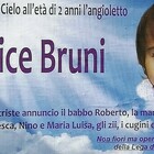 «Un angioletto è volato in cielo»: Alice Bruni muore a 2 anni, l'intera comunità di Corinaldo sconvolta