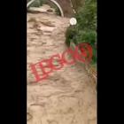 Santa Marinella choc: auto trascinata nel fiume Marangone VIDEO