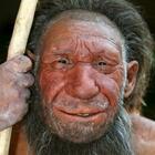 Proteina dai Neanderthal può ridurre la mortalità da Covid. «Era la protezione contro le precedenti pandemie»