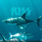 I Kiss suoneranno in mezzo all'Oceano per salvare gli squali bianchi