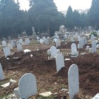 Palermo, cinghiali all'assalto del cimitero: lapidi abbattute e fosse tra le tombe