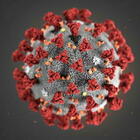 Covid, scoperta nuova variante del virus in Gran Bretagna: «Forse più contagioso». L'Oms: «Non ci sono prove»