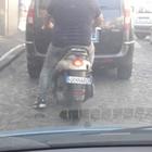 Napoli, scooter targato «Gennaro»: dopo Gesù arriva la targa con il nome