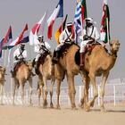 Influenza del cammello, torna il terrore dopo i Mondiali in Qatar: «Letale più del Covid»