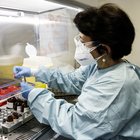 Vaccino, dati positivi dal primo test Usa sull'uomo: sviluppati anticorpi come nei pazienti guariti. E Wall Street vola