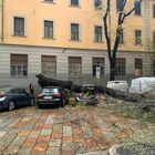 Milano, albero crolla sulle auto in sosta, panico in strada FOTO