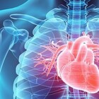 La proteina spugna che ripulisce le arterie del cuore