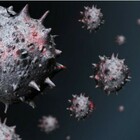 Covid, perché alcuni vaccinati si ammalano gravemente? Colpa di anticorpi «impazziti»
