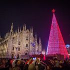 Milano, l'albero di Natale in Piazza Duomo