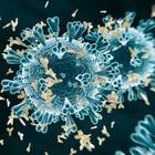 Coronavirus, alto rischio di ictus nei giovani: preoccupa studio del Policlinico di New York