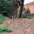 Roma, villa Sciarra nel degrado: intervento di pulizia di Fratelli d'Italia
