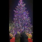 Il sindaco Giorgio Gori accende l'albero di Natale di Bergamo: "Questo non ce lo toglie nessuno"