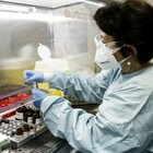 Covid, scienziato tedesco: «Virus nato da errore in laboratorio a Wuhan, 600 gli indizi»