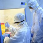 «Virus creato in laboratorio a Wuhan e sfuggito per errore»