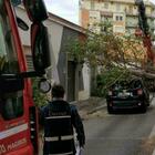 Roma, albero crolla su un'auto in transito al Pigneto: è il terzo caso in pochi giorni