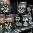 Cannabis light, stop della Cassazione: «La vendita di derivati è reato»