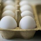 Salmonella nelle uova, richiamate dal mercato. Ecco la marca e i lotti interessati