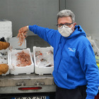 Emergenza Covid-19 a Fiumicino: donati 3 quintali di pesce fresco alle famiglie in difficoltà