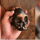 Sud Africa, scoperto teschio di bambino di 240mila anni fa. «Fu seppellito in una grotta»