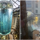 Berlino, esploso l'acquario cilindrico più grande al mondo: rovesciati un milione di litri d'acqua salata e 1.500 pesci esotici. Due persone ferite dai vetri rotti