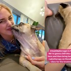 Chiara Ferragni, la cagnolina Matilda torna a casa dopo le cure: gli scatti nostalgici su Instagram