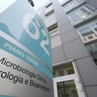 Vaiolo delle scimmie, isolato il virus al Sacco di Milano: ora sarà possibile verificare gli effetti del vaccino