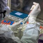 Il virologo francese: «So come guarire il coronavirus con un farmaco anti-malaria»