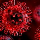 Variante inglese coronavirus più pericolosa? Capobianchi: «Nessuna evidenza che il vaccino ora sia inefficace»