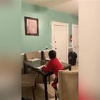 Un bambino furbetto si fa fare i compiti da Alexa
