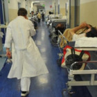 Modena, topo morto nel pranzo dell'ospedale