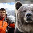 Turista mangiato vivo da un orso davanti agli amici: «Ha dilaniato il suo corpo»