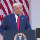 Trump, non più arancioni ma bianchi: i nuovi capelli del presidente Usa scatenano i social