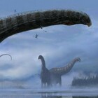 I dinosauri avevano «tosse, febbre e infezioni alle vie respiratorie»: la scoperta dei ricercatori Usa