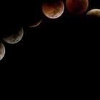 Eclissi lunare 2020 e gli effetti sui segni zodiacali: ecco cosa accadrà dopo il 9 febbraio