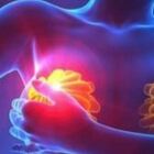 Tumore al seno, individuato gene che ne indica la predisposizione: lo studio dell'Università di Padova