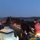 Siracusa, corsa clandestina di cavalli: il video su Facebook
