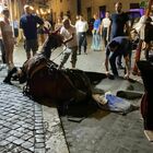 Roma, cavallo delle botticelle stramazza al suolo per il caldo a Fontana di Trevi