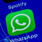Come sembrare offline su Whatsapp ma continuare a leggere i messaggi: il trucchetto virale