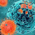 Tumori, la Cina sviluppa la nuova immunoterapia: «Così le cellule malate vengono uccise»