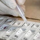 Servirà aggiornare il vaccino? Pfizer e Moderna si preparano