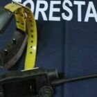 Rieti, cacciatore denunciato e collare elettrico sequestrato dai carabinieri forestali