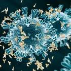 Immunità senza contagio per alcuni soggetti: ecco chi potrebbe non ammalarsi mai