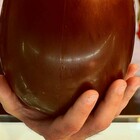 Kinder e salmonella, le uova di Pasqua sono sicure? La Ferrero rassicura: «Prodotte ad Alba»