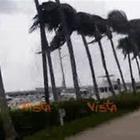 La tempesta si abbatte su una Miami semi-deserta Guarda