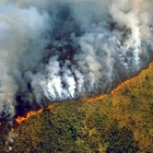 Amazzonia, incendi fuori controllo: «Sta bruciando dell'84% in più dell'anno scorso»