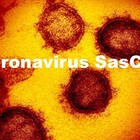 Coronavirus, ecco quali sono le età più a rischio e le patologie nei casi critici
